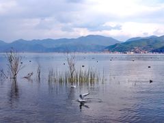 -丽江泸沽湖景区