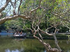 -晓港公园