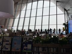-抱抱地球咖啡馆(国家海洋博物馆店)