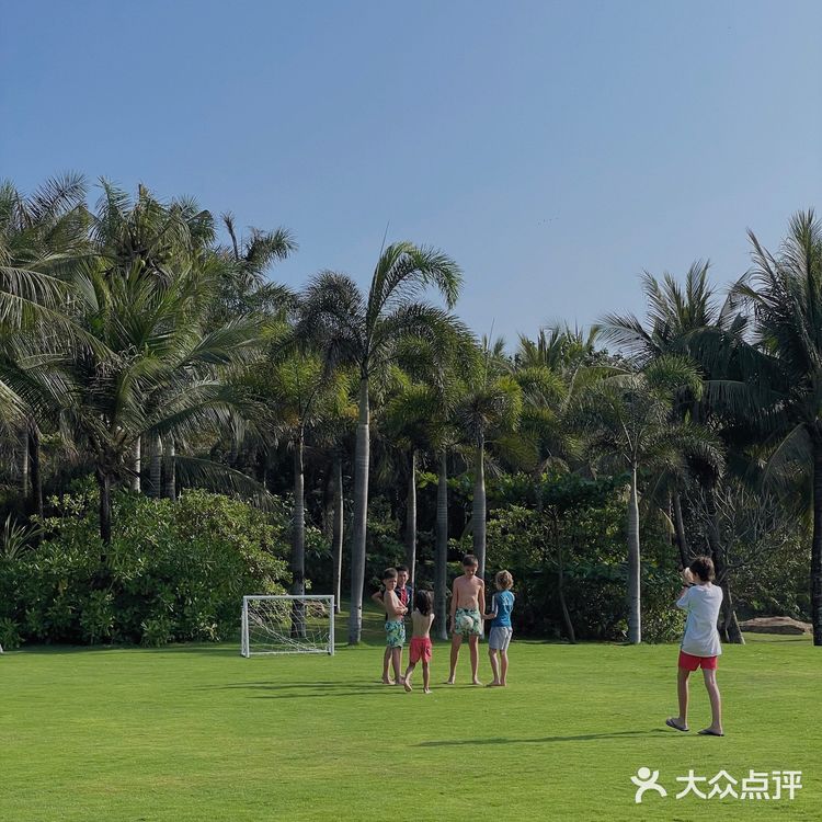 🌴 三亚艾迪逊· 私人沙滩边的椰林也太好拍了