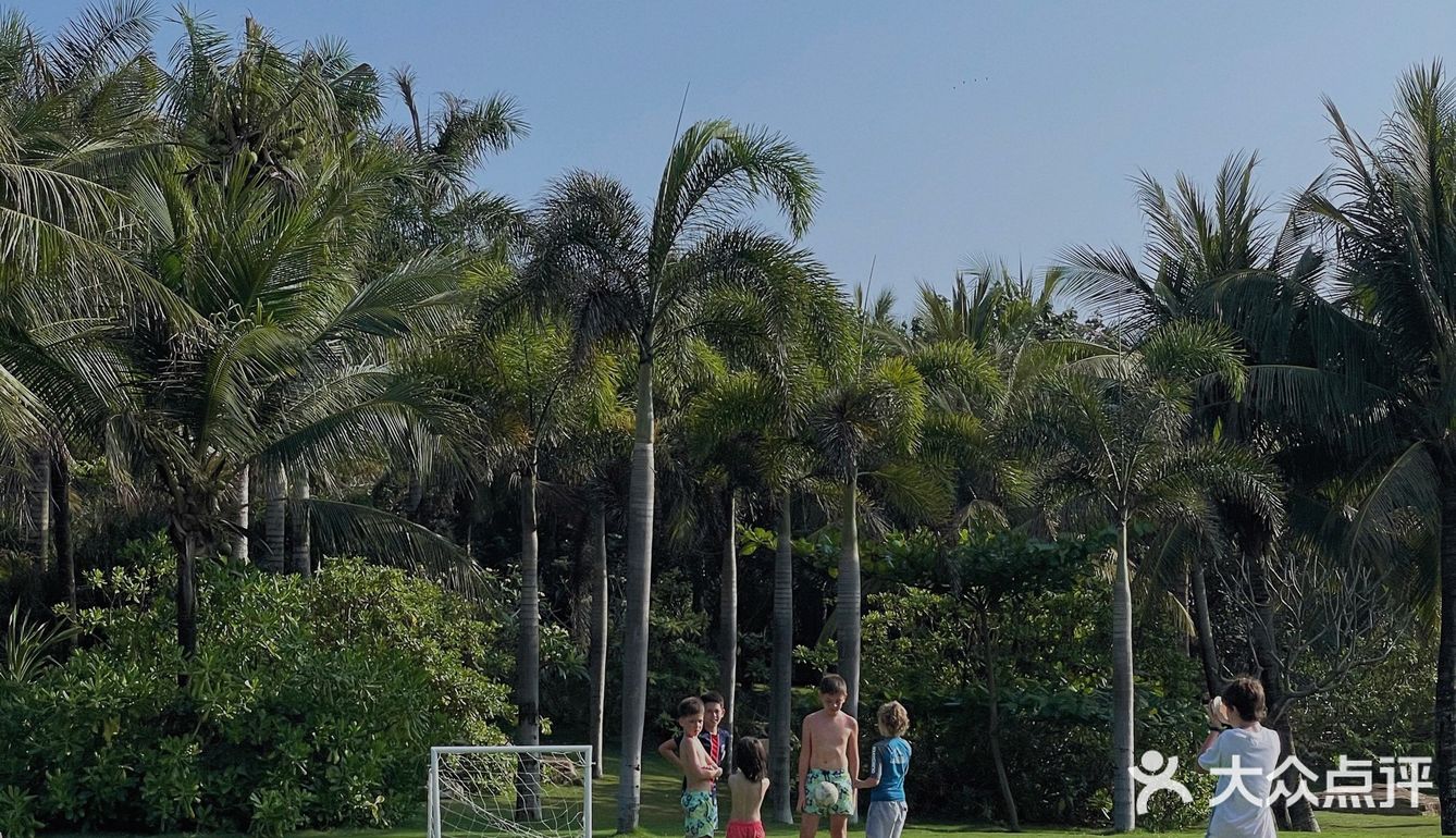 🌴 三亚艾迪逊· 私人沙滩边的椰林也太好拍了