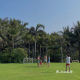 🌴 三亚艾迪逊· 私人沙滩边的椰林也太好拍了