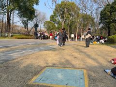 -洋湖国家湿地公园