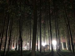 -仁和公园(顺义区)