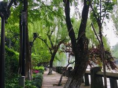 -运河游船(武林门码头)