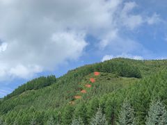 -塞罕坝国家级自然保护区