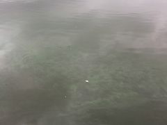 -美兰湖景区