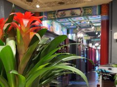 -羲和雅苑•北京烤鸭(平安国际金融中心店)