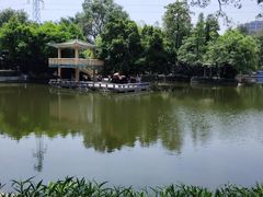 -晓港公园