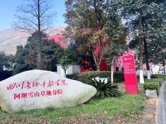 -四川汶川特大地震漩口中学遗址