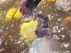 -小牛海记潮汕牛肉店(永定路店)