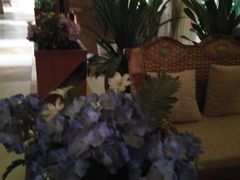 -家富富侨(西城店)