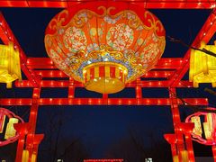 -洛阳市隋唐城遗址植物园