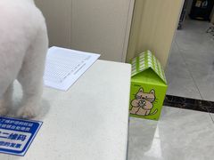 -安安宠医宠物医院·异宠·犬猫内科(岳阳分院)