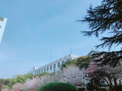 -武汉大学-樱园