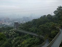 -福道