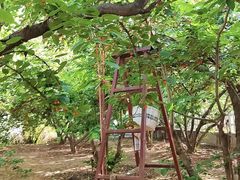-樱桃沟景区