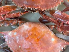 -大锅强·蒸海鲜青岛菜(吾悦广场店)