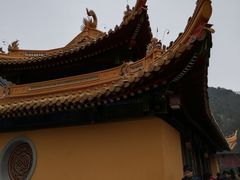 -普陀山风景名胜区-法雨禅寺