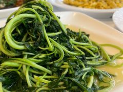 -天福苑(崇宁路店)