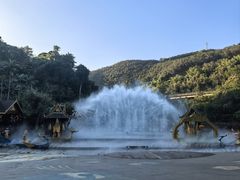-西双版纳原始森林公园