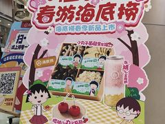 -海底捞火锅(德辉广场店)