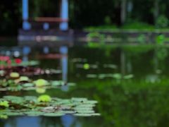 -国家植物园南园