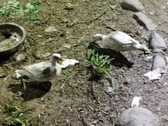 -双新垂钓园