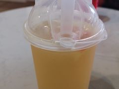 -Husky Go! 哈士奇体验馆·宠物咖啡厅狗咖