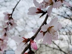 -高尔山公园