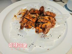 -大鸽饭(动物园店)