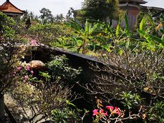 -Warung Babi Guling Ibu Oka 3