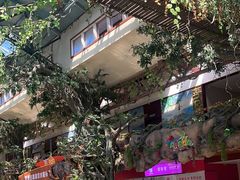 -呀诺达热带雨林