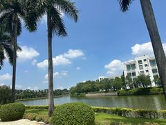 -顺德职业技术大学