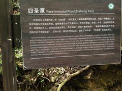 -牛背梁国家森林公园