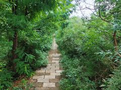 -元大都城垣遗址公园