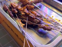 -福苗小骆驼烧烤(莲湖路店)