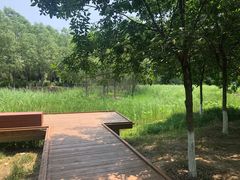 -东郊湿地公园