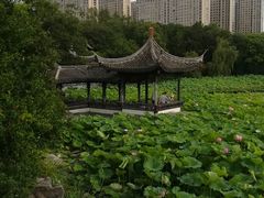 -高子水居
