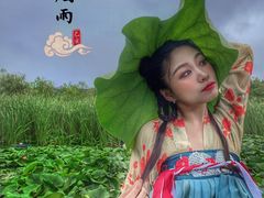 -前关湿地公园