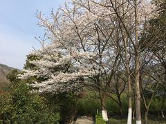 -白马涧龙池景区