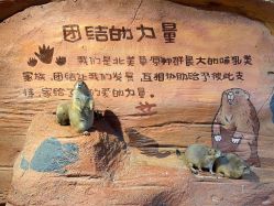点击看大图 -奇幻萌宠部落(映月湖环宇城店)