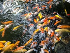 -珠海圆明新园
