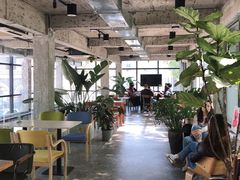 大堂-腾爱熊猫咖啡生活馆(老东门店)