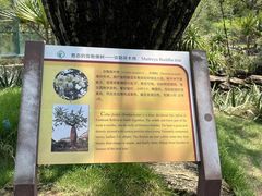 -华南国家植物园-售票处