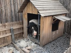 -小时光咖啡馆(开森度假森林店)