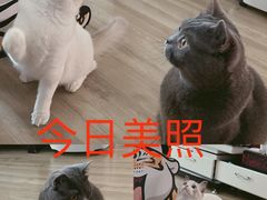 -奈斯宠物医院·核磁CT·异宠专科·内镜(中南店)