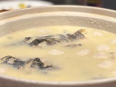 泉水有机鱼头-三千院·东篱(东门店)