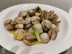 白蛤-神洲四海大酒楼(王府井澳门中心店)