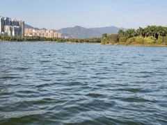 -飞来湖湿地公园